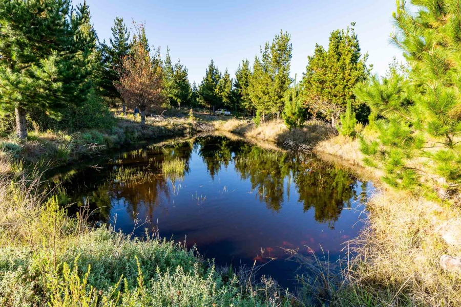 0 Bedroom Property for Sale in Heidelberg Rural Western Cape